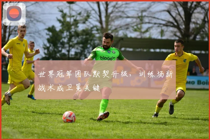 世界冠军团队默契升级，训练场新战术成卫冕关键
